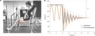 Movement History Influences Pendulum Test Kinematics in Children With Spastic Cerebral Palsy